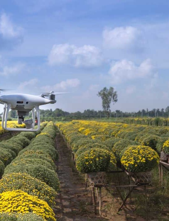 Harvest Innovations