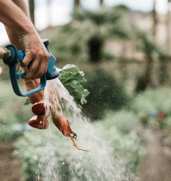 Ecological Farming