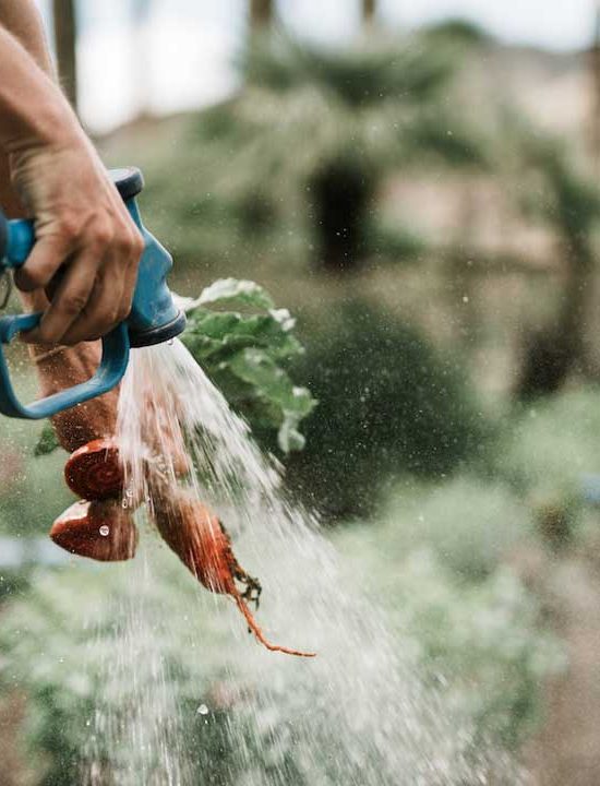 Ecological Farming