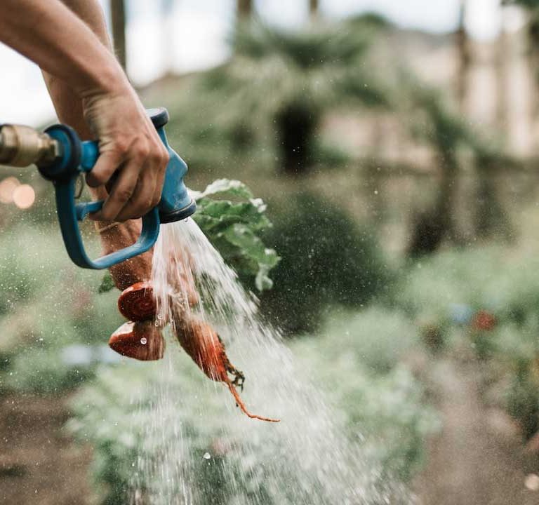 Ecological Farming
